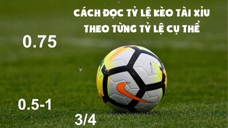 Cách tính tỷ lệ kèo tài xỉu bóng đá