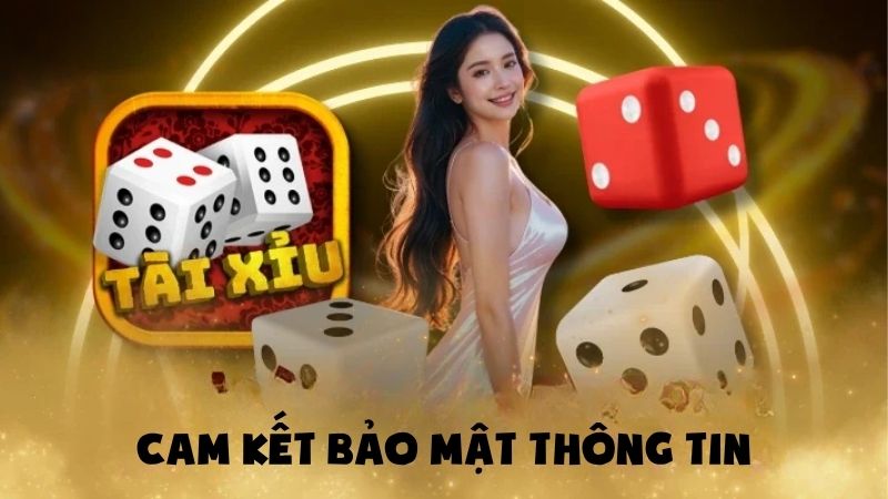 Cam kết bảo mật thông tin