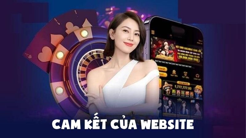 Cam kết của website