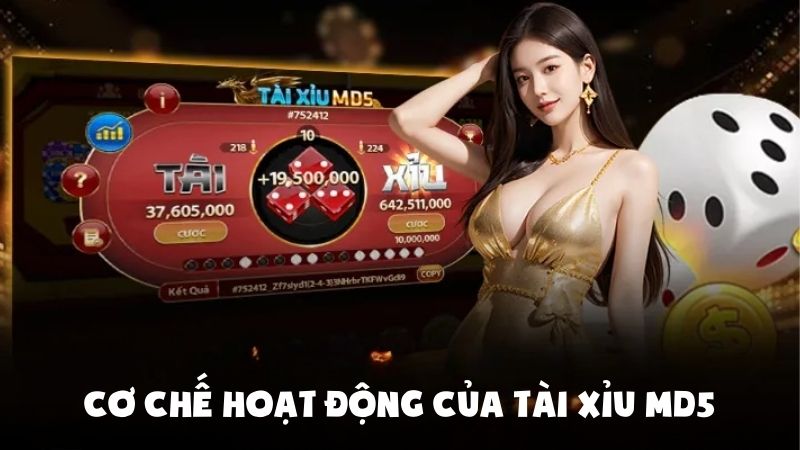 Cơ chế hoạt động của MD5