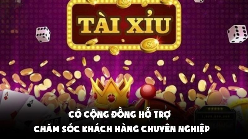 Có cộng đồng hỗ trợ và chăm sóc khách hàng chuyên nghiệp