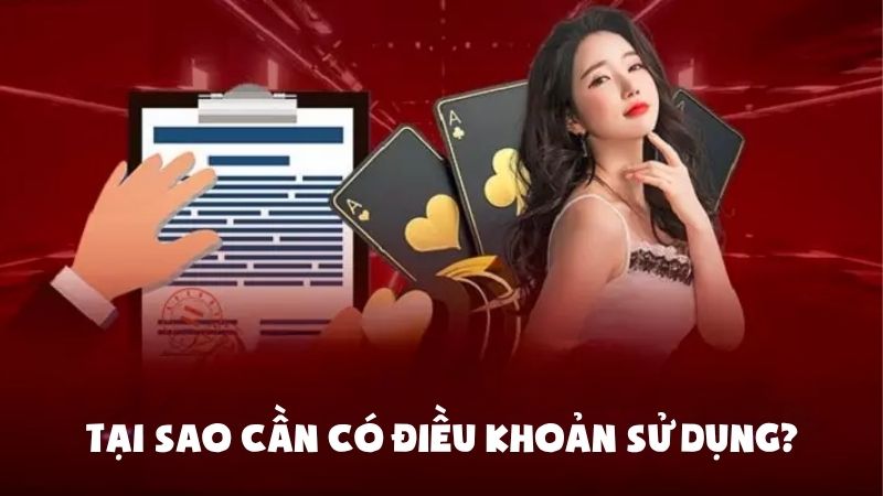 Tại sao cần có điều khoản sử dụng