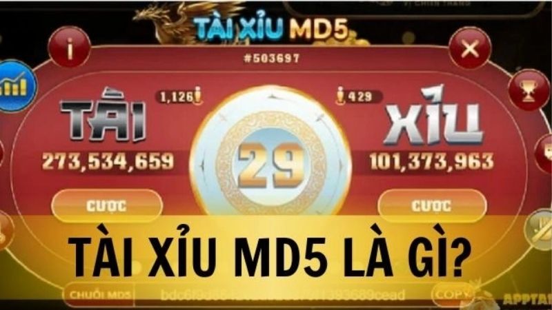 Tài xỉu MD5